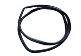 Rear door rubber seal (on body)