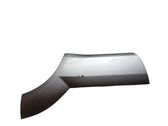 Rear door trim (molding)