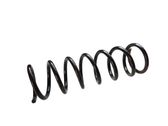Rear coil spring