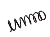 Rear coil spring