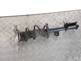 Rear shock absorber with coil spring