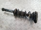 Stoßdämpfer mit Federbein hinten