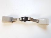 Middle seatbelt buckle (rear)