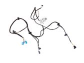 Front door wiring loom