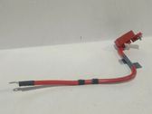 Positive wiring loom