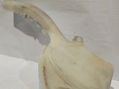 Windshield washer fluid reservoir/tank