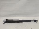 Stoßdämpfer hinten