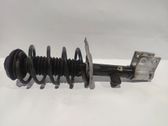 Front shock absorber/damper