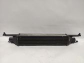 Intercooler radiator
