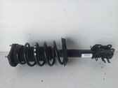 Front shock absorber/damper