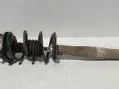 Front shock absorber/damper