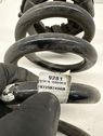 Rear coil spring