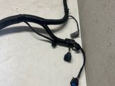 Other wiring loom