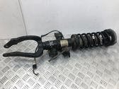 Front shock absorber/damper