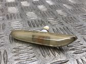 Front fender indicator light