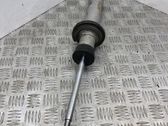 Rear shock absorber/damper