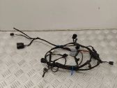Other wiring loom