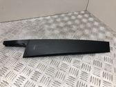 Other front door trim element