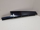 Rear door glass trim molding