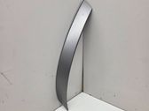 Other rear door trim element