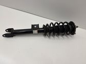 Front shock absorber/damper