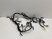 Other wiring loom