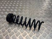 Rear coil spring