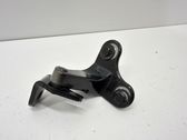 Rear door lower hinge
