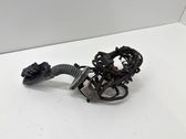 Rear door wiring loom