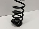 Muelle espiral trasero