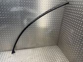 Roof trim bar molding cover