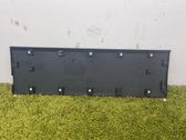 Listón embellecedor de la puerta delantera (moldura)