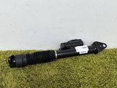 Rear shock absorber/damper
