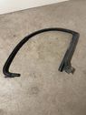 Rear door rubber seal (on body)