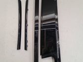 Other rear door trim element