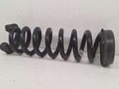 Rear coil spring