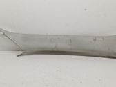 (A) pillar trim