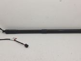 Tailgate strut