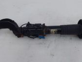 Front shock absorber/damper