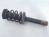Front shock absorber/damper
