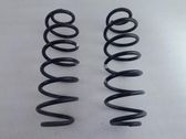 Rear coil spring