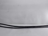 Rear door trim (molding)