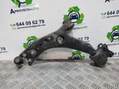 Front lower control arm/wishbone