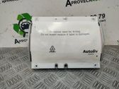 Front door airbag