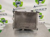 Panel lateral delantero