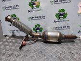 Filtro de partículas del catalizador/FAP/DPF