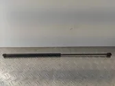 Amortiguador/puntal del capó/tapa delantero