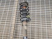 Front shock absorber with coil spring