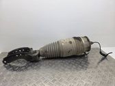 Front shock absorber/damper