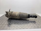 Rear shock absorber/damper